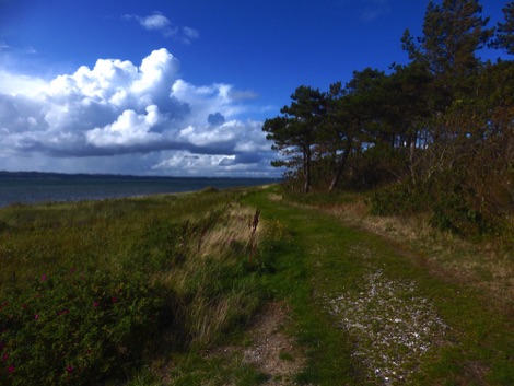 Ahl coastline